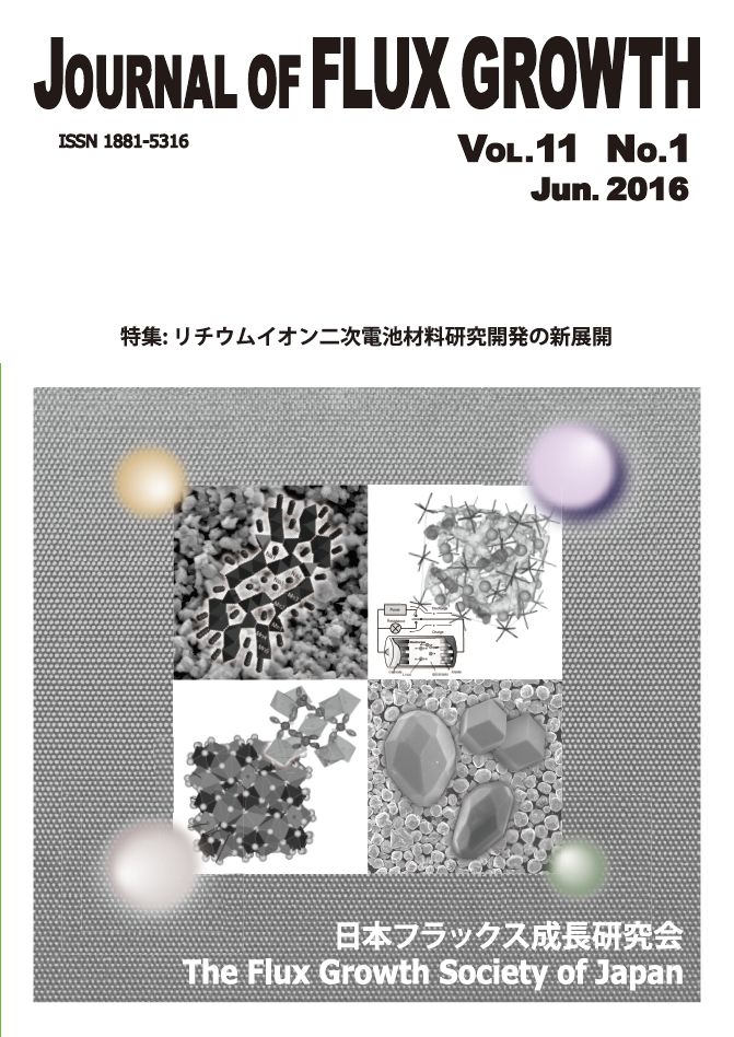 JOURNAL OF FLUX GROWTH Vol.11 No.1